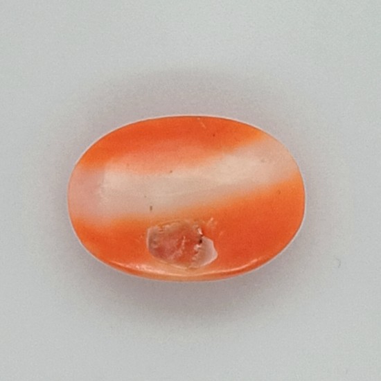Coral (Moonga) 4.98 Ct Best Quality Coral (Moonga) 4.98 Ct Best Quality